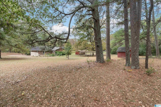 view of yard with a storage shed