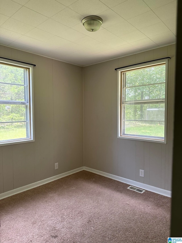 carpeted empty room featuring plenty of natural light