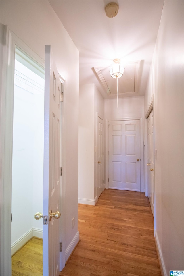 hall with light hardwood / wood-style flooring