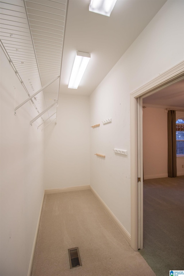 spacious closet with carpet