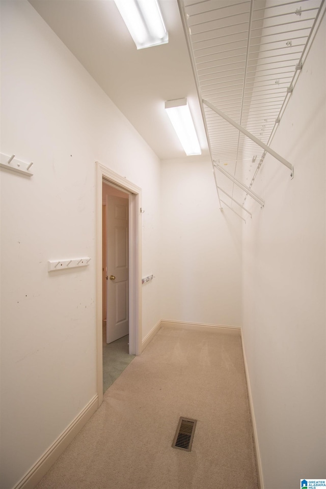 spacious closet featuring light carpet