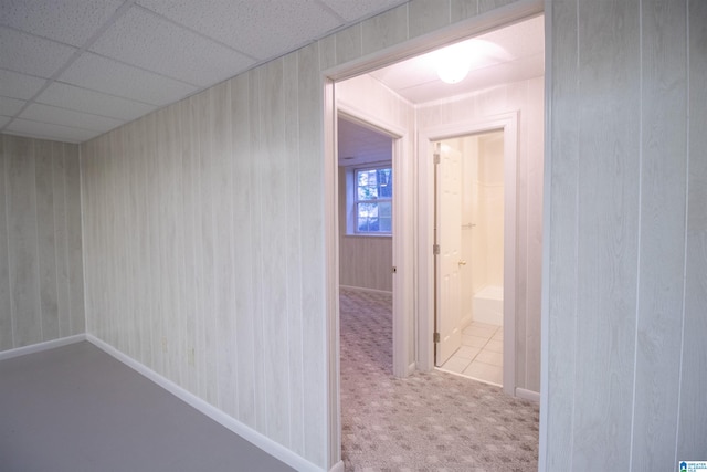 hall featuring carpet flooring and a drop ceiling