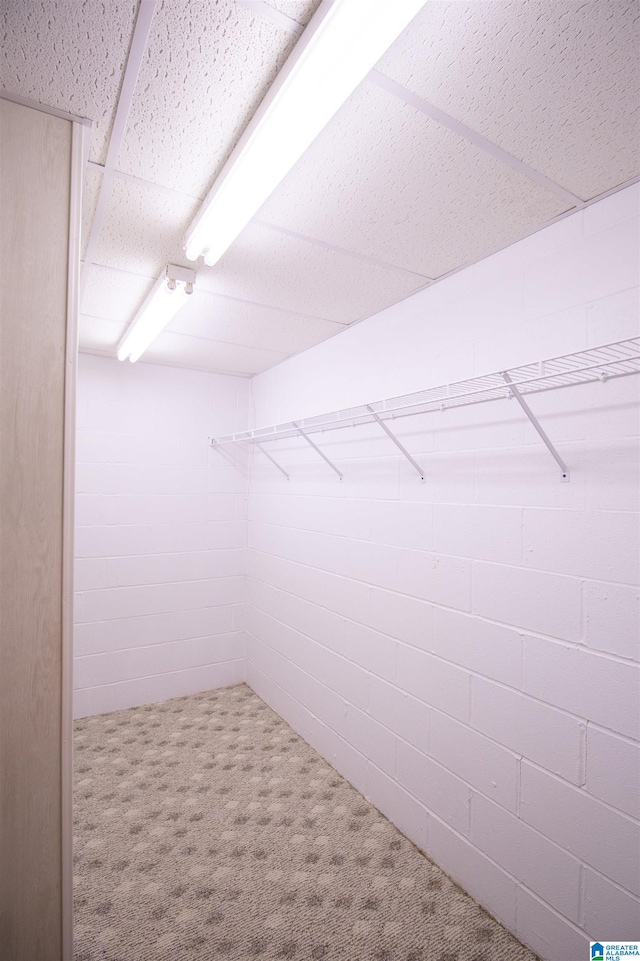 spacious closet featuring carpet floors