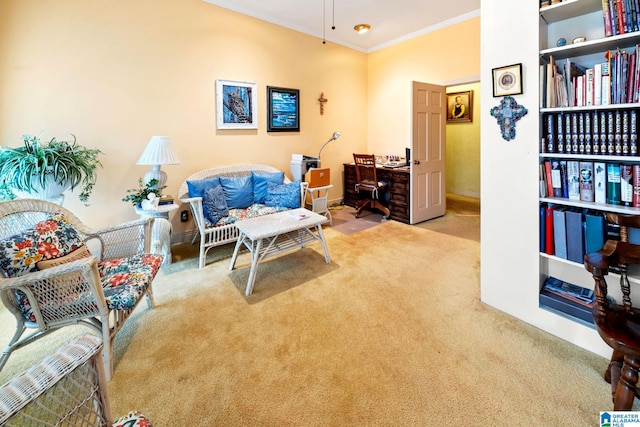 interior space with light carpet and crown molding