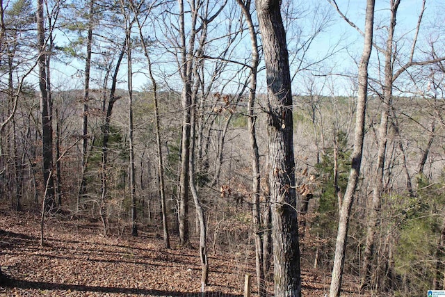 view of landscape