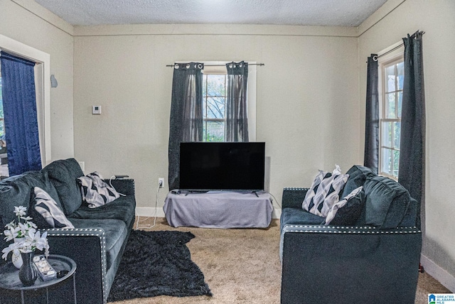 carpeted living room featuring a textured ceiling