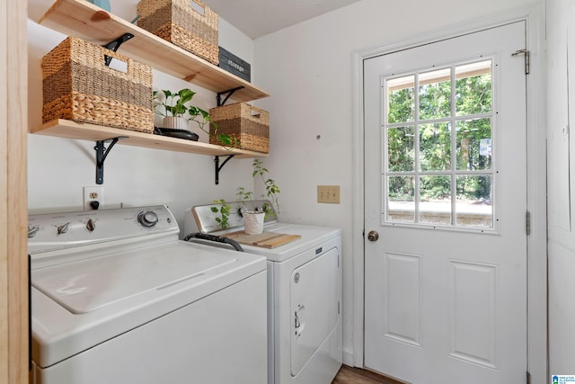 laundry area with washer and clothes dryer and hardwood / wood-style flooring