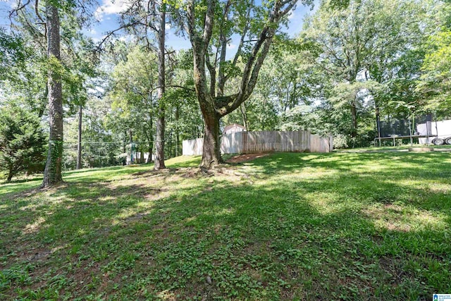 view of yard with a trampoline