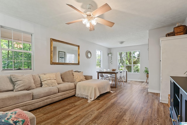 living room featuring wood-type flooring, ceiling fan, and a textured ceiling