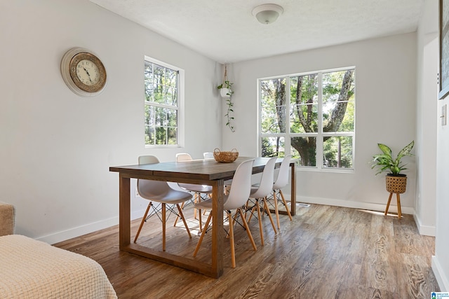 dining room with a textured ceiling, plenty of natural light, and hardwood / wood-style flooring