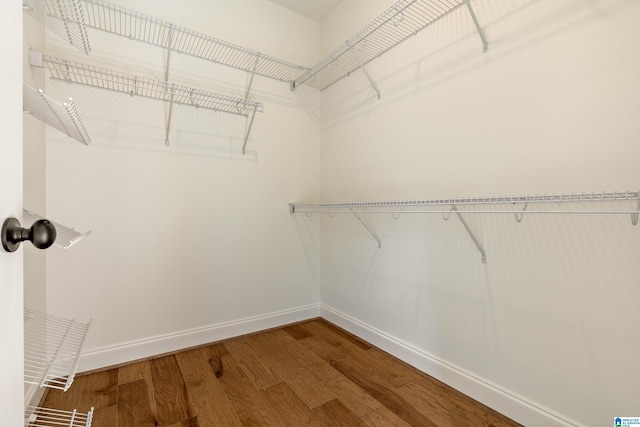 spacious closet featuring hardwood / wood-style floors