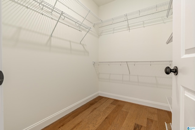 walk in closet with wood-type flooring