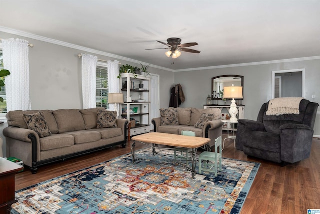 living room featuring dark wood-type flooring, ceiling fan, and crown molding