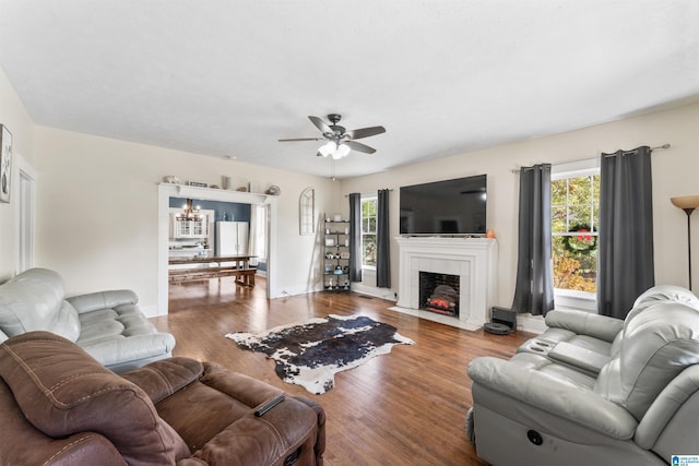 living room with ceiling fan and hardwood / wood-style flooring