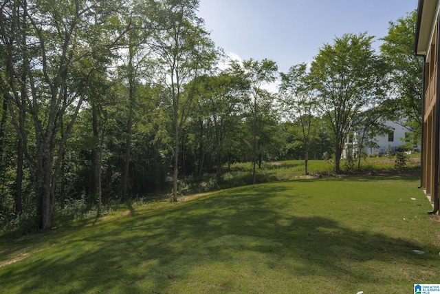 6558 Deerfoot Crossing Rd, Trussville, AL 35173 - view of green lawn