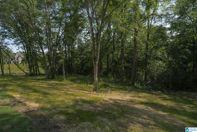 6558 Deerfoot Crossing Rd, Trussville, AL 35173 - view of undeveloped land