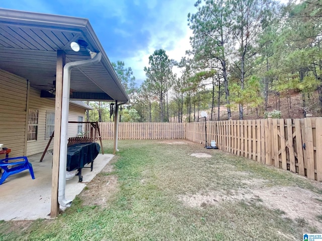 view of yard featuring a patio area