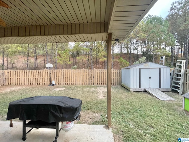 view of yard with a storage unit and a patio area