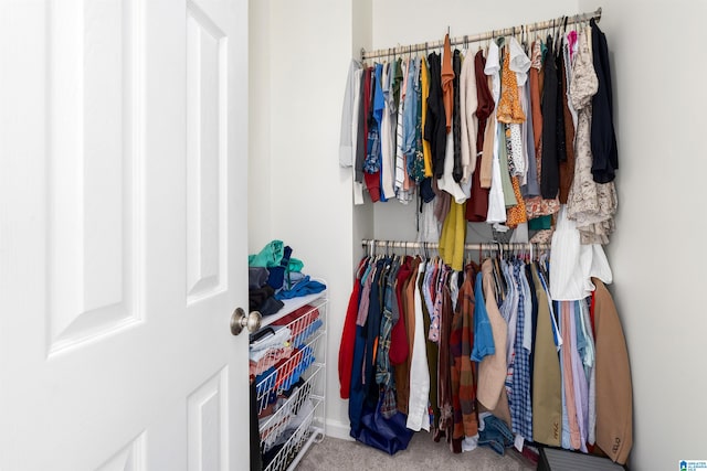 walk in closet with carpet floors