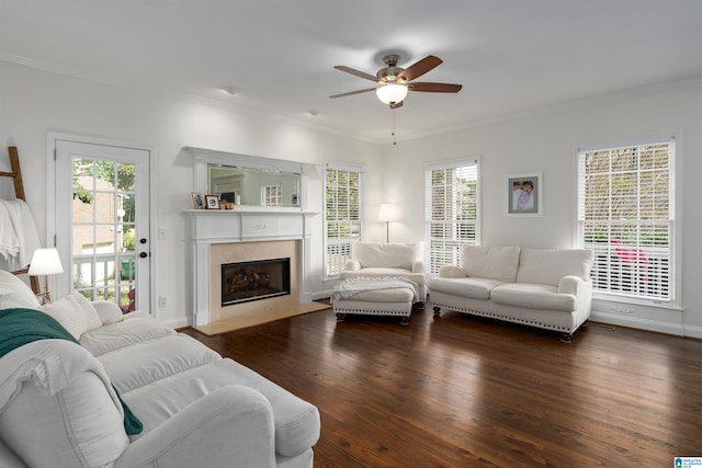 living room with ornamental molding, plenty of natural light, ceiling fan, and dark hardwood / wood-style flooring