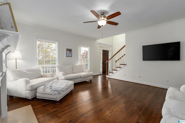 living room with dark wood-type flooring, ceiling fan, and crown molding