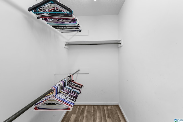 walk in closet with wood-type flooring