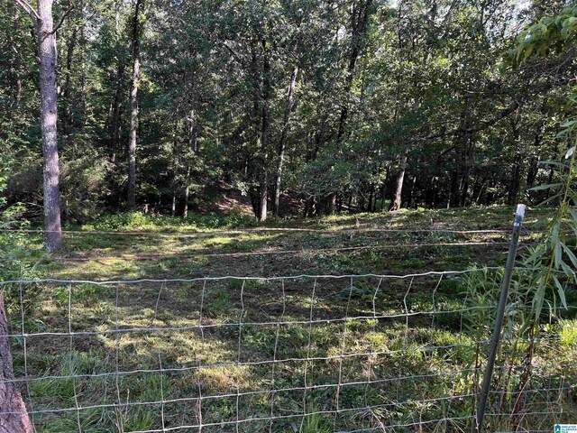 1959 Blue Sky Rd Unit 0, Adger, AL 35006