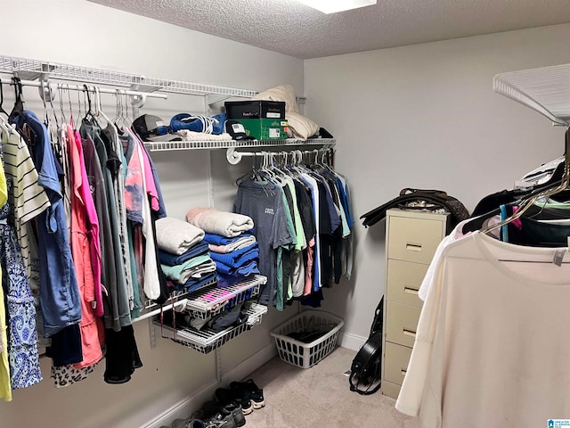 spacious closet with light carpet