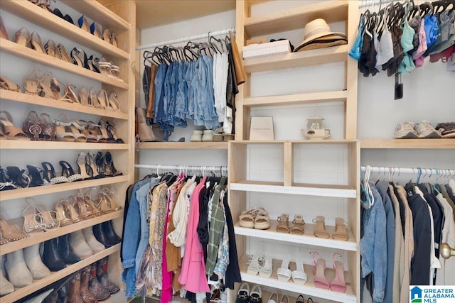 view of walk in closet