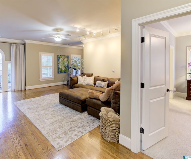 living room featuring ornamental molding, rail lighting, wood-type flooring, and ceiling fan