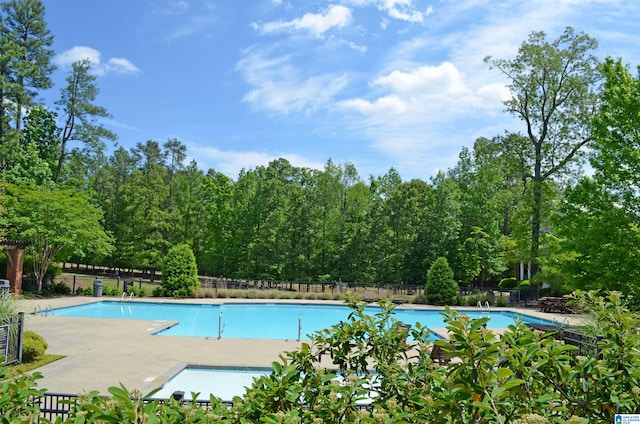 view of pool featuring a patio area