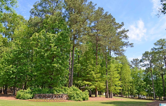 view of community with a yard