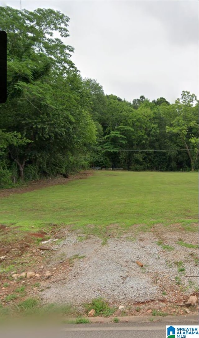 3202 Wenonah Rd SW Unit 8, Birmingham AL, 35211 land for sale