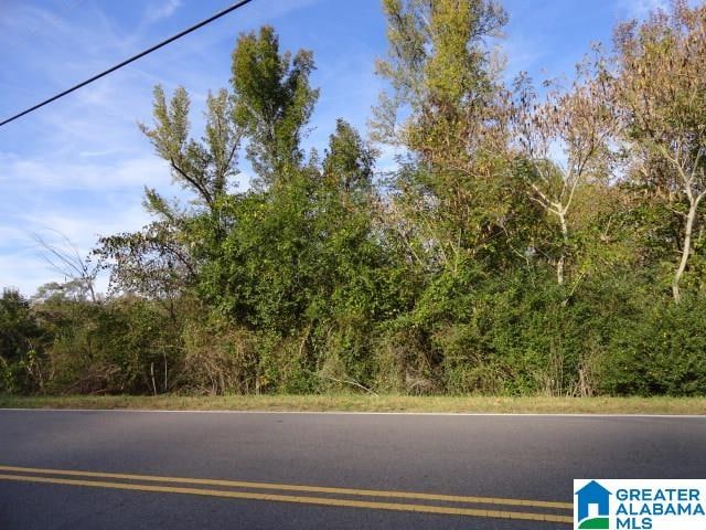 1440 Republic Rd Unit 000, Brookside AL, 35214 land for sale