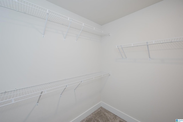 spacious closet featuring carpet flooring