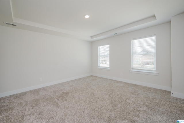 carpeted empty room with a raised ceiling