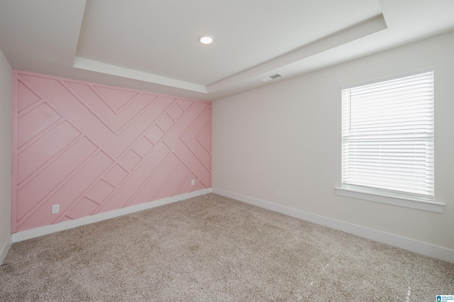 carpeted spare room with plenty of natural light and a tray ceiling