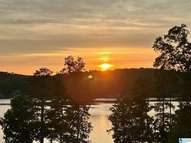 nature at dusk with a water view