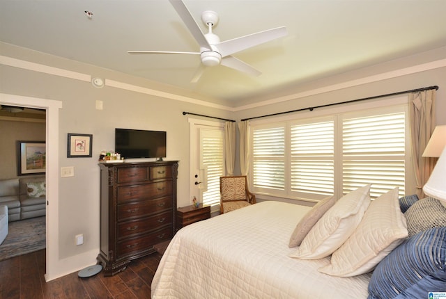 bedroom featuring ceiling fan and dark hardwood / wood-style flooring