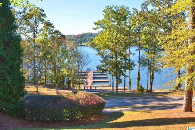 view of property's community with a dock and a water view