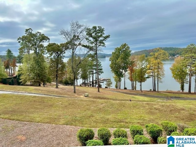 view of home's community with a lawn and a water view