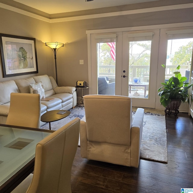 living room featuring dark wood-type flooring, plenty of natural light, and french doors