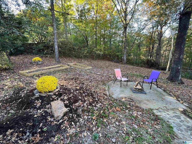 view of yard featuring a patio