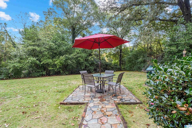 view of yard featuring a patio