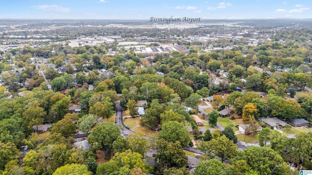 bird's eye view