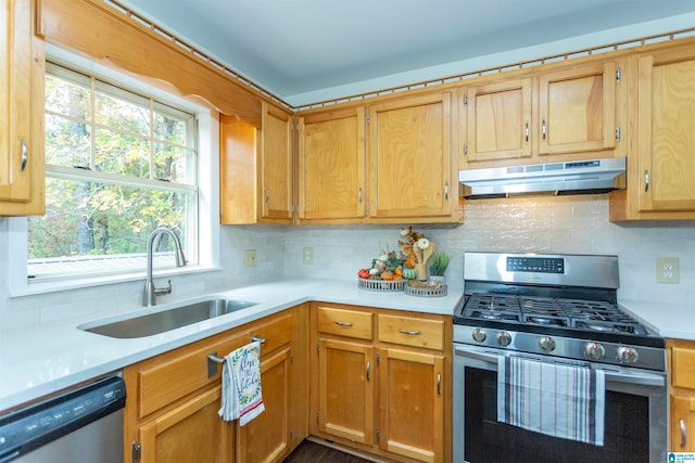 kitchen with decorative backsplash, sink, and stainless steel appliances