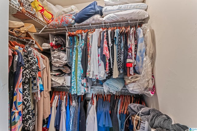 view of spacious closet