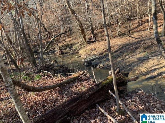 view of local wilderness featuring a water view