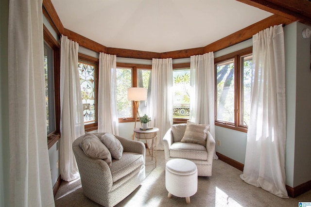 sitting room featuring carpet floors