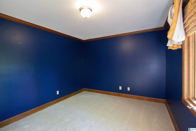 unfurnished room featuring carpet floors and crown molding